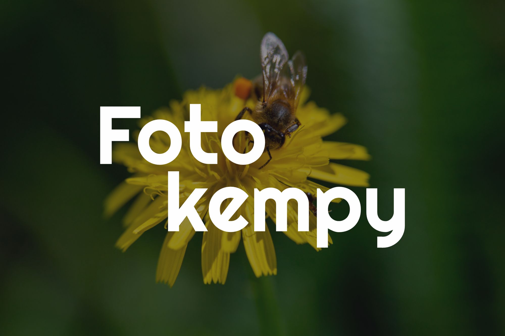 kempy