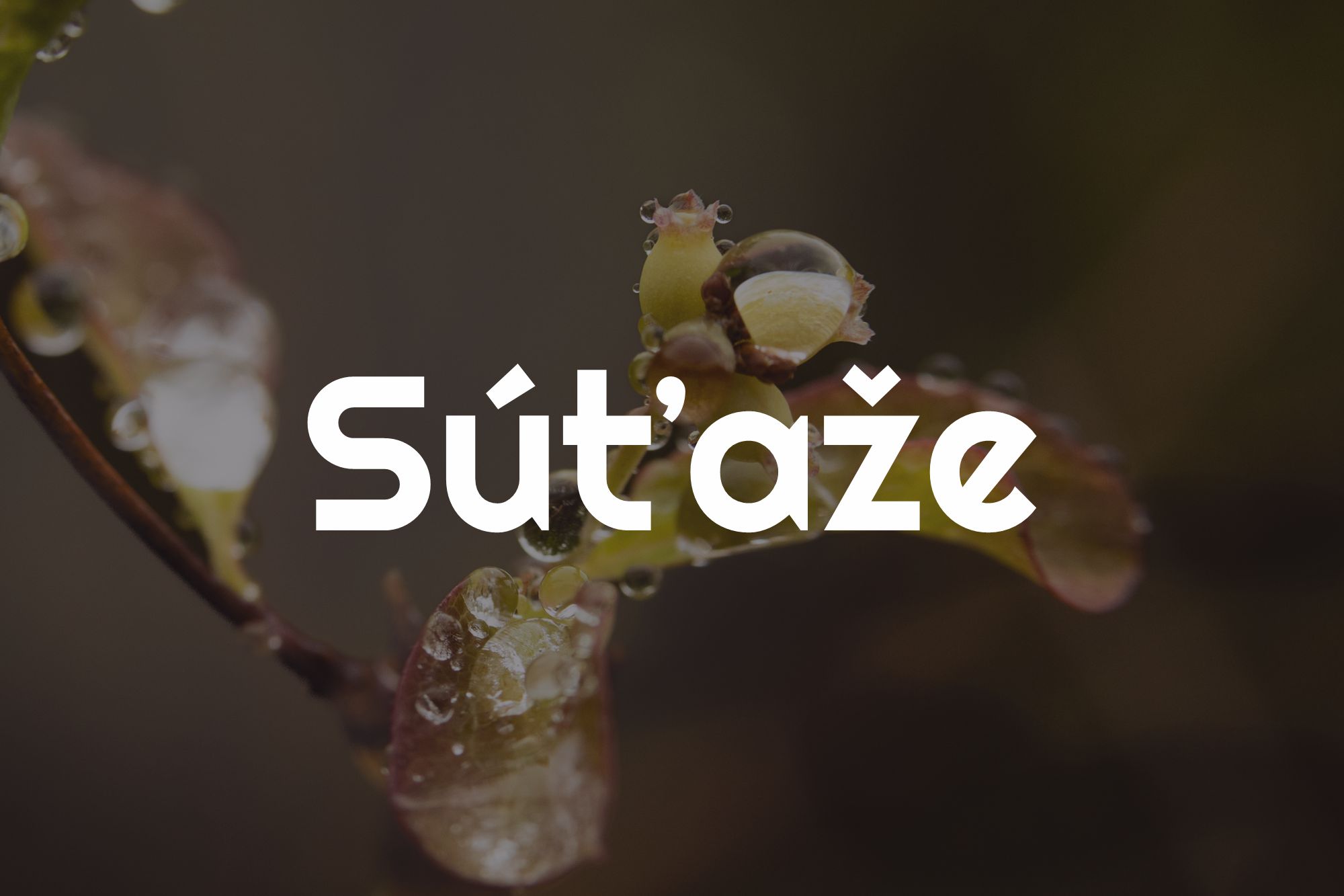 sutaz