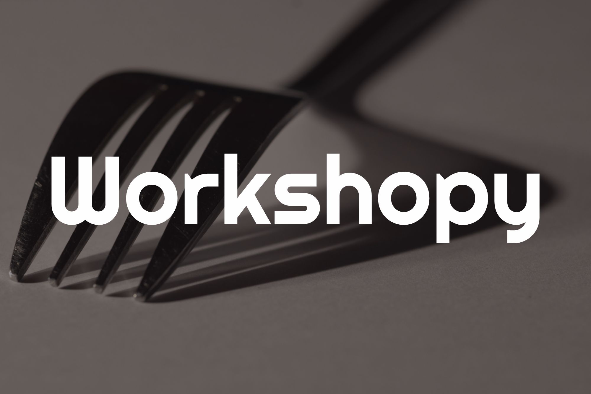 workshopy